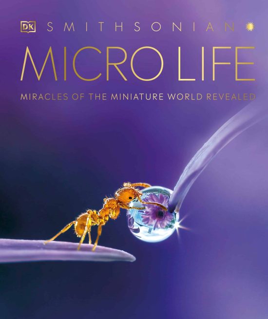 Miracles of the Miniature World Revealed: Micro Life