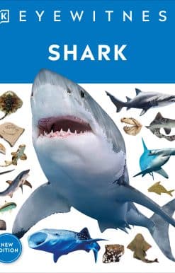 Dive into the fascinating world of sharks: Eyewitness Shark