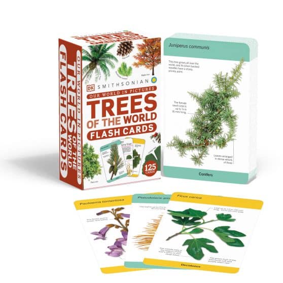Our World in Pictures Trees of the World Flash Cards: