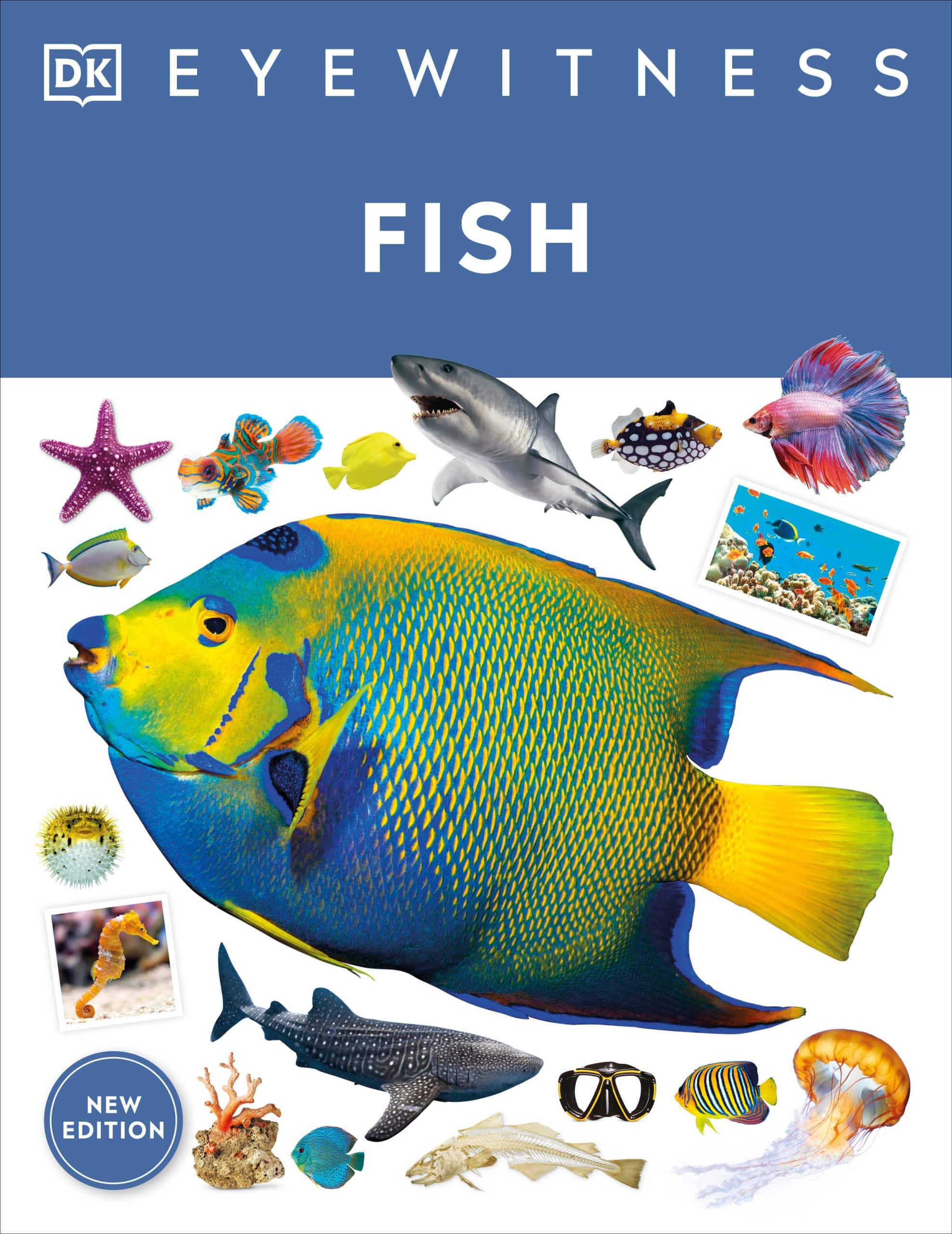 9780744062526 Eyewitness Fish