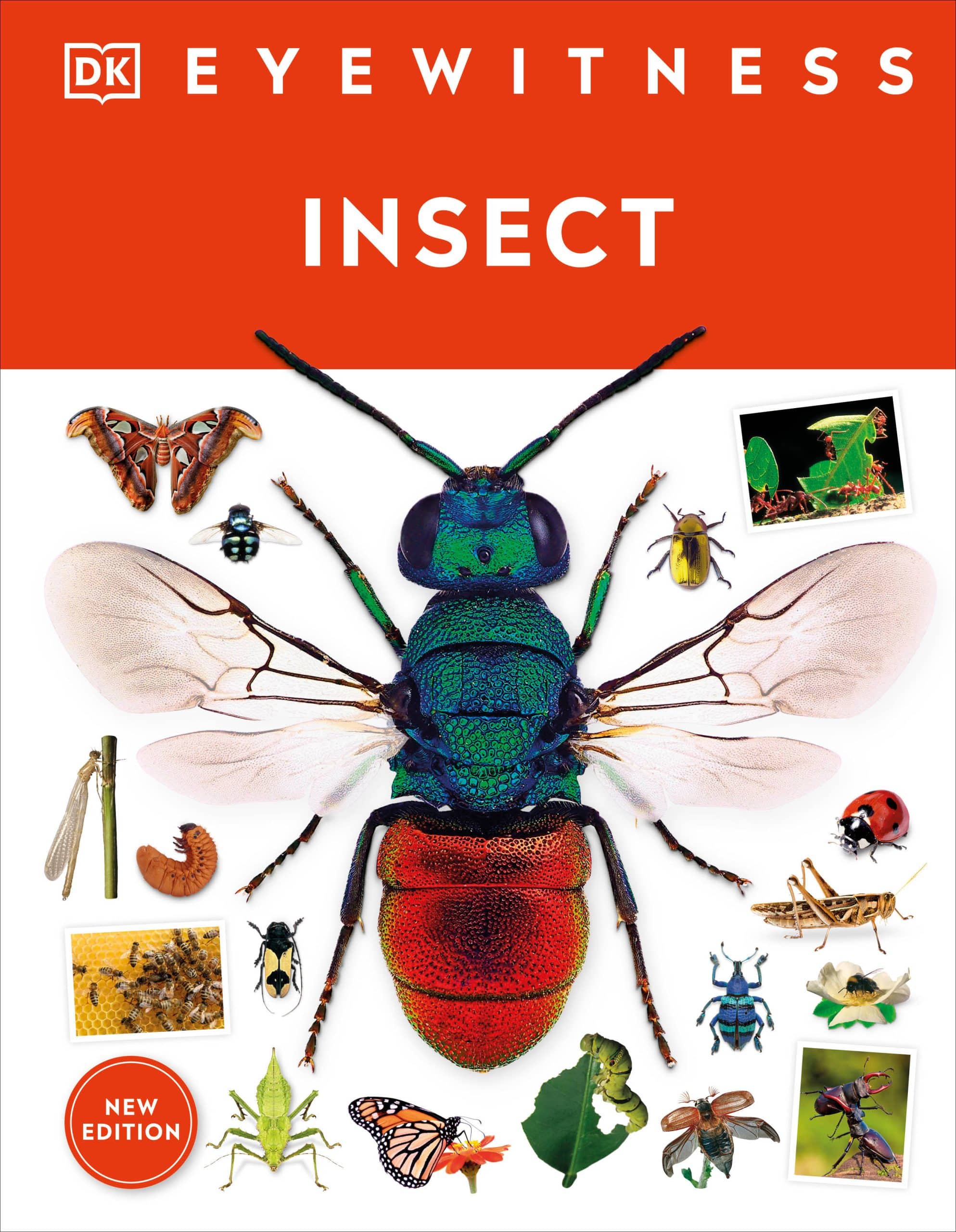 9780744081572 Eyewitness Insect