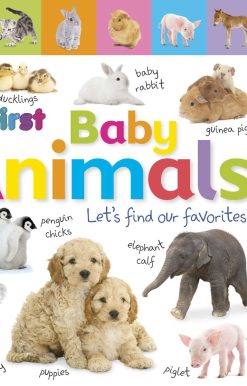 Tabbed Board Books: My First Baby Animals: Let's Find Our Favorites!