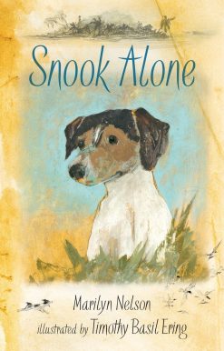 Snook Alone