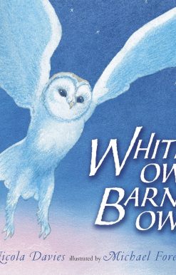 White Owl, Barn Owl: Read and Wonder