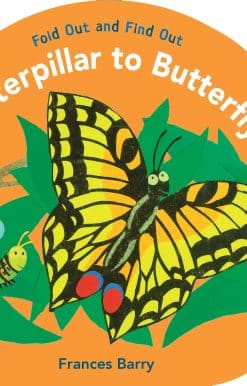 Caterpillar to Butterfly: Fold Out and Find Out