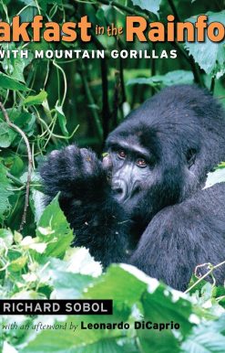 Breakfast in the Rainforest: A Visit with Mountain Gorillas