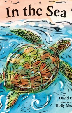 In the Sea