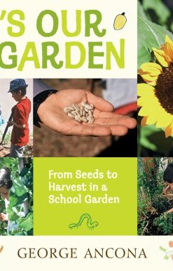 From Seeds to Harvest in a School Garden: It's Our Garden