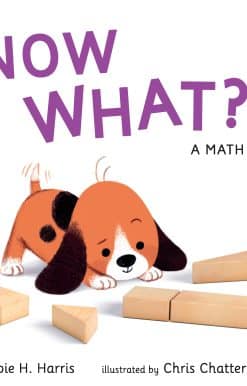 Now What? A Math Tale: