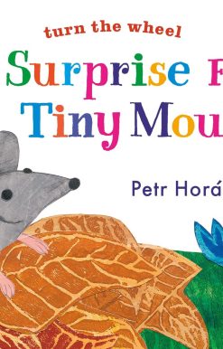 A Surprise for Tiny Mouse