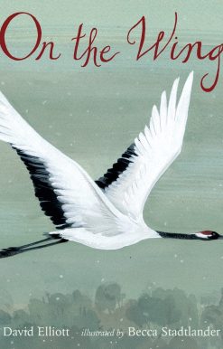 On the Wing