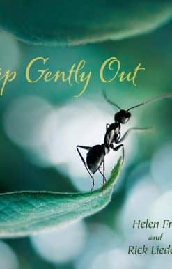 Step Gently Out