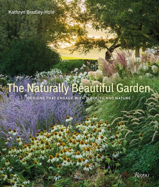Designs That Engage with Wildlife and Nature: The Naturally Beautiful Garden