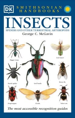 Insects: The Most Accessible Recognition Guide