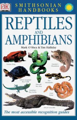 Reptiles & Amphibians: The Most Accessible Recognition Guide