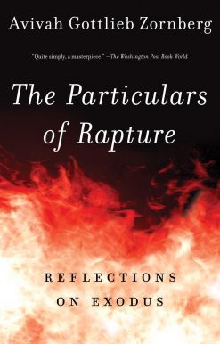The Particulars of Rapture: Reflections on Exodos