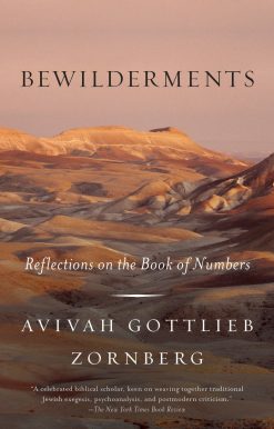 Reflections on the Book of Numbers: Bewilderments