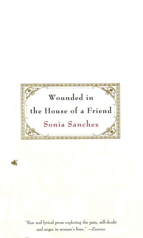 Wounded in the House of a Friend