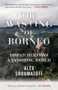 The Wasting of Borneo: Dispatches from a Vanishing World