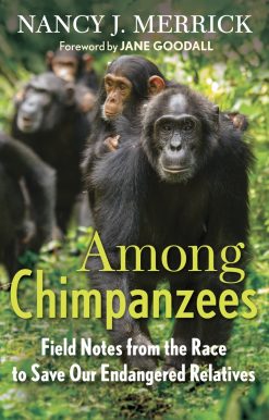 Among Chimpanzees: Field Notes from the Race to Save Our Endangered Relatives