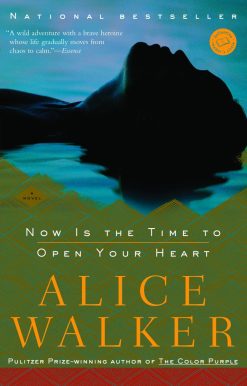 Now Is the Time to Open Your Heart: A Novel