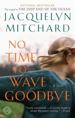 No Time to Wave Goodbye: A Novel