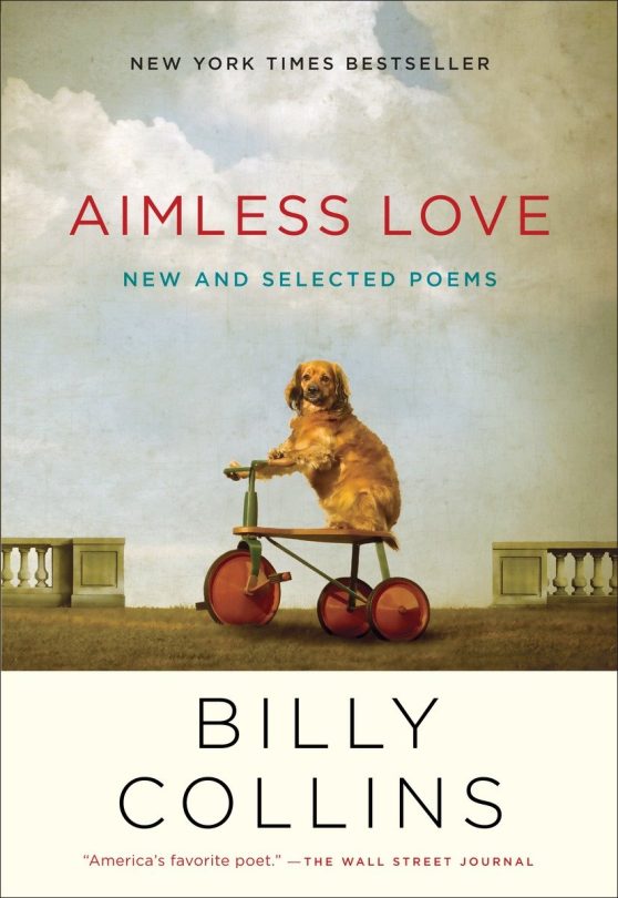 New and Selected Poems: Aimless Love