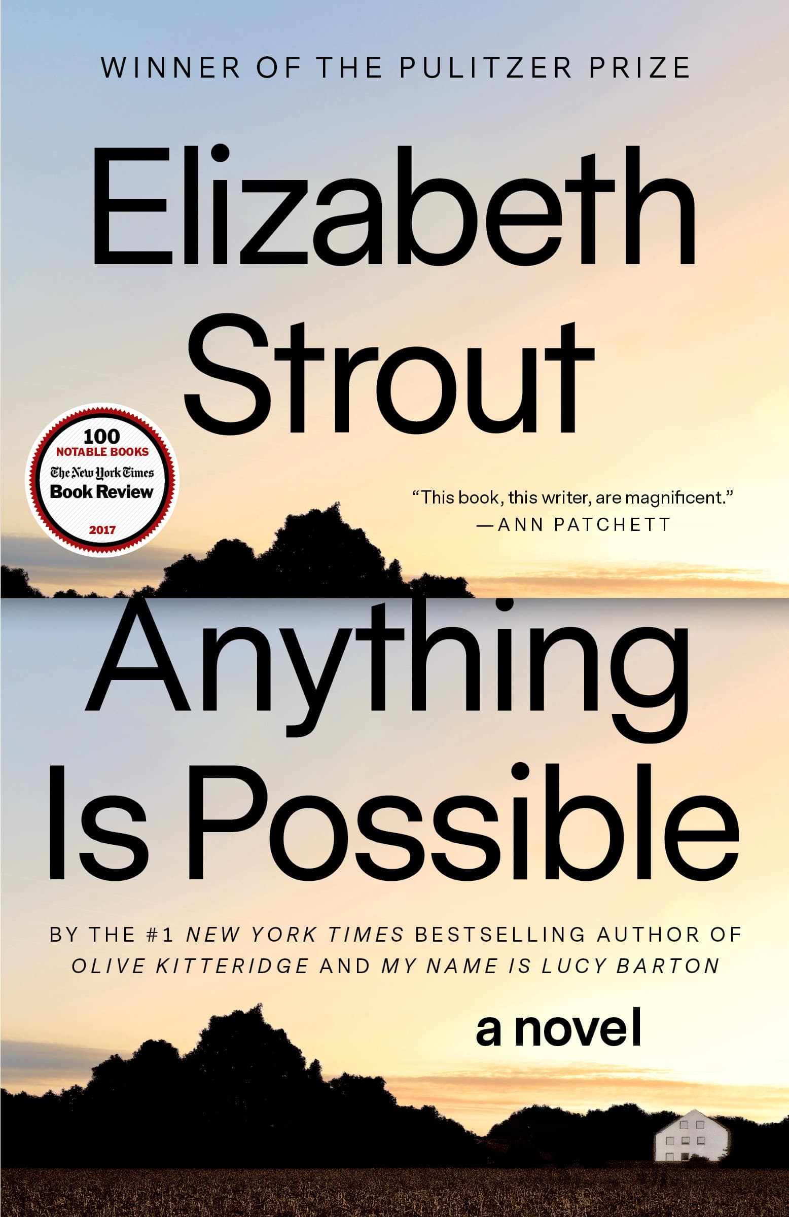 9780812989410 Anything Is Possible: A Novel