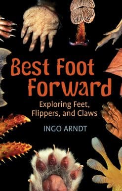 Best Foot Forward: Exploring Feet, Flippers, and Claws