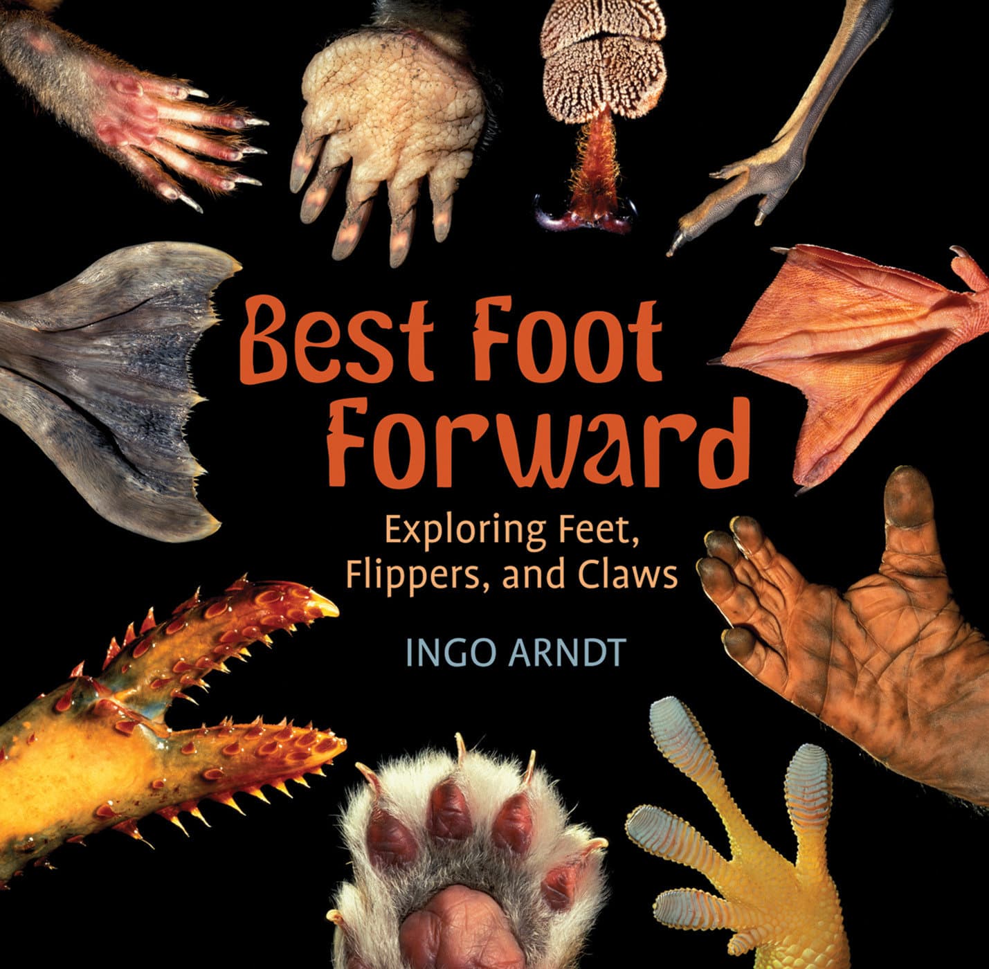 9780823431854 Best Foot Forward: Exploring Feet, Flippers, and Claws