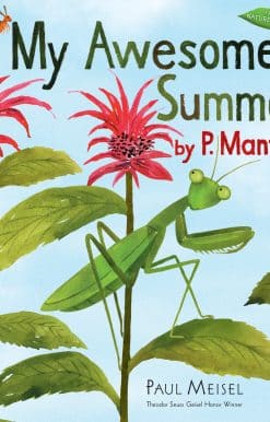 My Awesome Summer by P. Mantis
