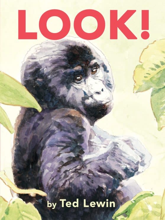 Look!: