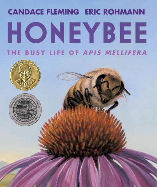 The Busy Life of Apis Mellifera: Honeybee