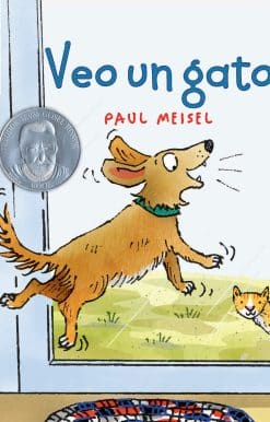 Veo un gato