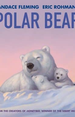 Polar Bear: