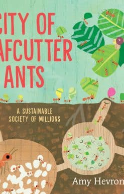City of Leafcutter Ants: A Sustainable Society of Millions
