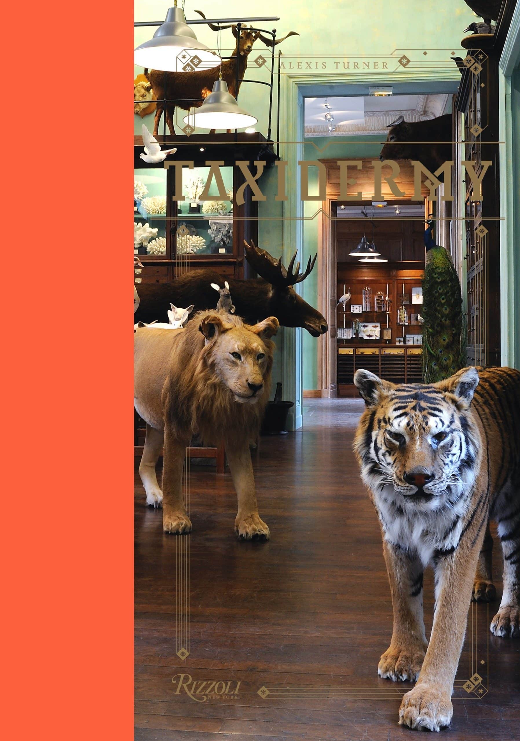 Taxidermy: