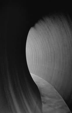 Richard Serra 2014