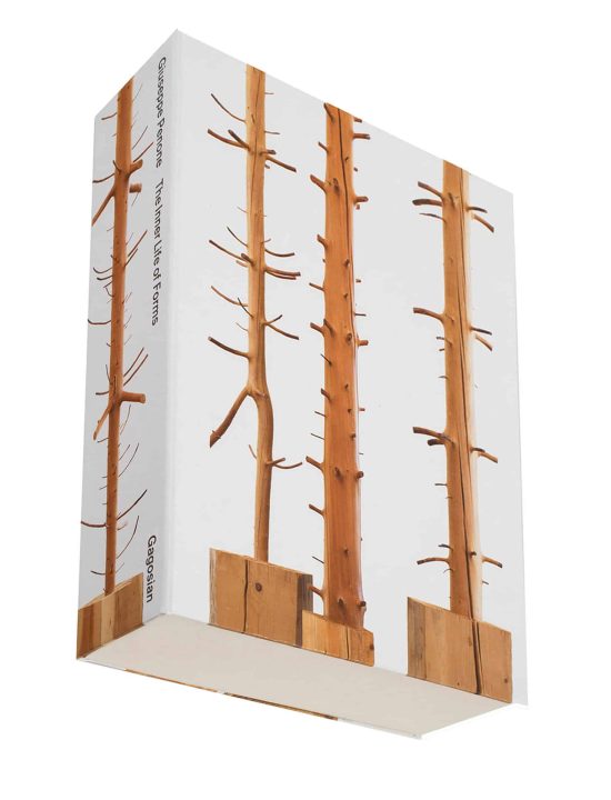 Giuseppe Penone: The Inner Life of Forms