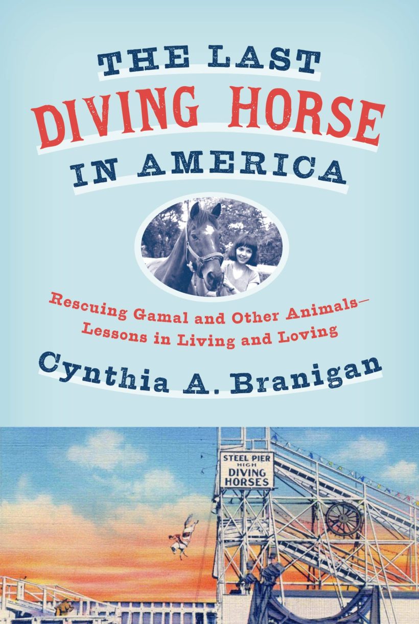 Rescuing Gamal and Other Animals--Lessons in Living and Loving: The Last Diving Horse in America