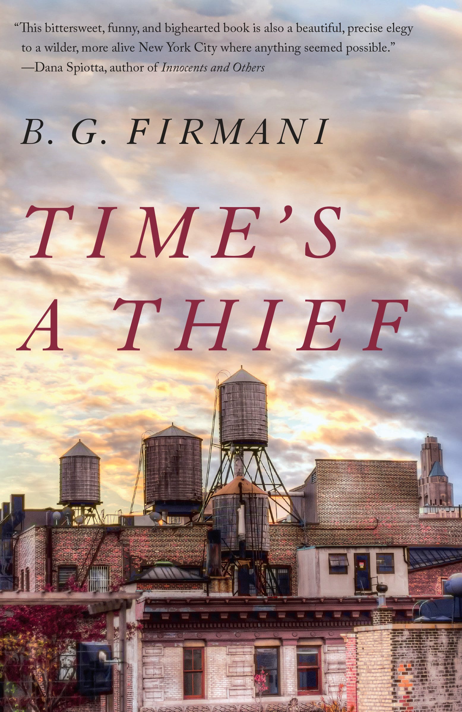9781101974131 A Novel: Time's a Thief