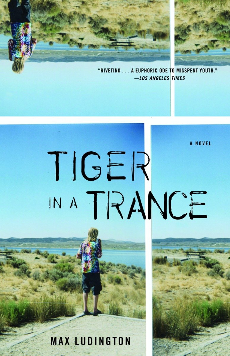 9781400030637 Tiger in a Trance: A Novel