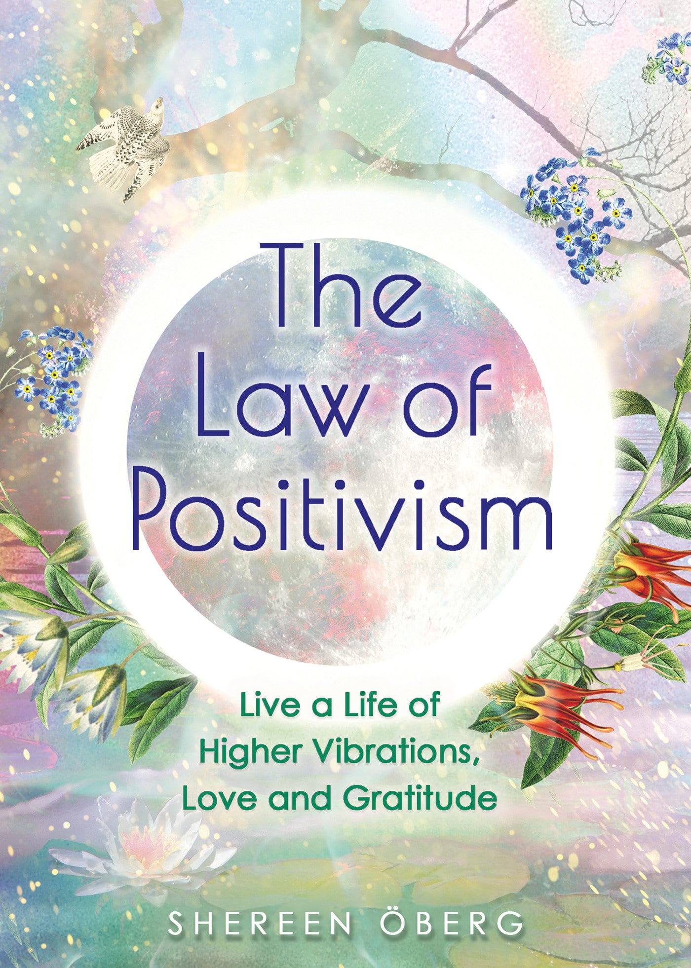 9781401962777 The Law of Positivism: Live a Life of Higher Vibrations, Love and Gratitude
