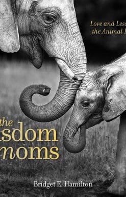 Love and Lessons From the Animal Kingdom: The Wisdom of Moms