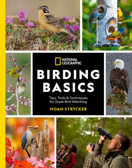 Tips, Tools, and Techniques for Great Bird-watching: National Geographic Birding Basics