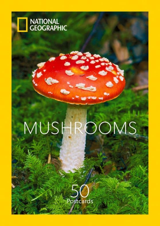 50 Postcards: Mushrooms