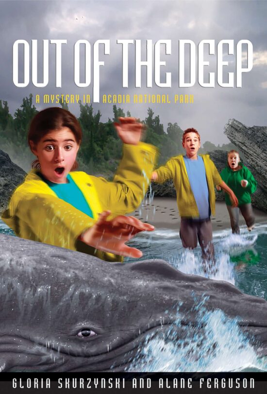 A Mystery in Acadia National Park: Mysteries in Our National Parks: Out of the Deep
