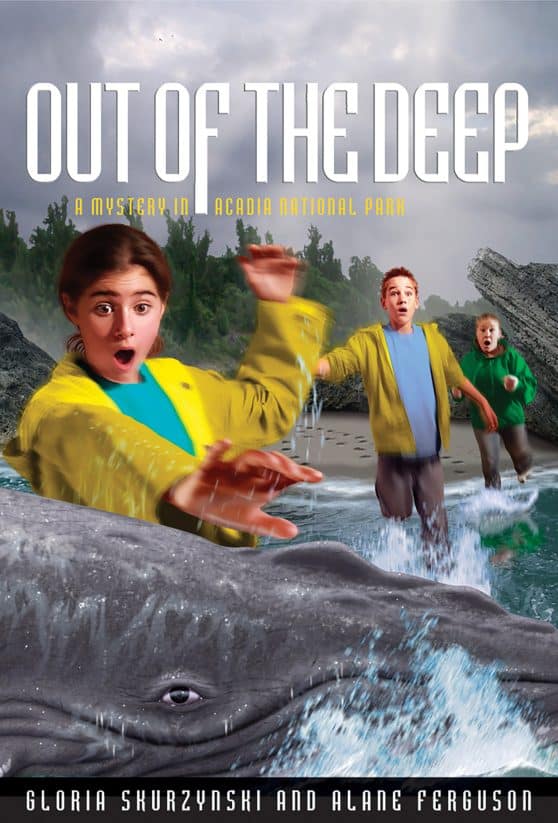 A Mystery in Acadia National Park: Mysteries in Our National Parks: Out of the Deep