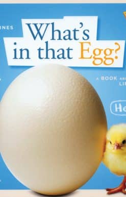 ZigZag: What's in That Egg?: A Book about Life Cycles