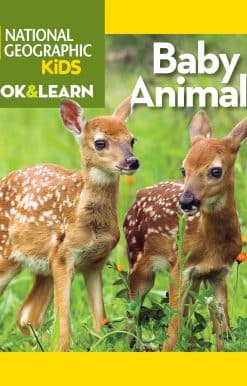 National Geographic Kids Look and Learn: Baby Animals